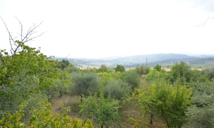 Casa indipendente con terreno a Lioni 2558 - Tutte le immagini