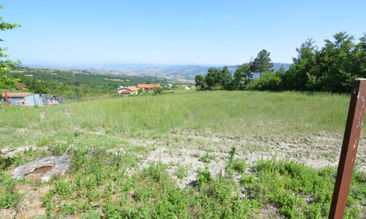 Casa indipendente con terreno a Guardia Lombardi 2601 - Tutte le immagini