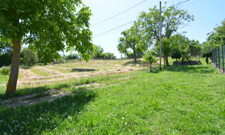 Casa indipendente con terreno a Guardia Lombardi 2601 - Tutte le immagini