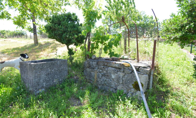 Casa indipendente con terreno a Guardia Lombardi 2601 - Tutte le immagini